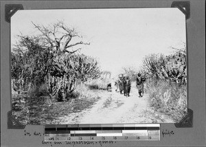 People on a road, Nyasa, Tanzania, ca.1898-1914