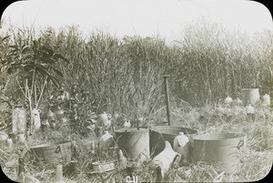 Glaze yard, Congo, ca. 1900-1915