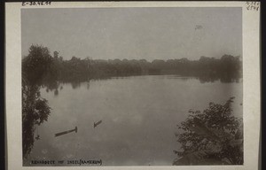 Lake Richard and island (Cameroon). Roosting-place for parrots