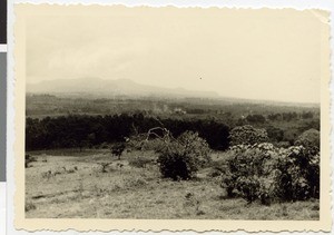 Landscape in Welega, near Nek'emte, Ethiopia, 1952