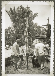 Head-hunters dance, performed after the boxes with the bones have been put into the Sandong