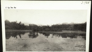 Elephant Lake near Karkala