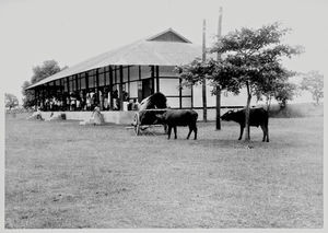 Santipara Leprosy Centre, Assam, North India, founded in 1939. The treatment building with pati