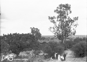 Swiss missionaries on a path near Pretoria, South Africa, ca. 1896-1911