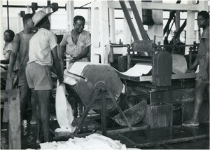 In a factory of Dijangue, in Cameroon