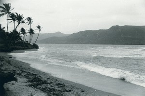 New Caledonia landscape