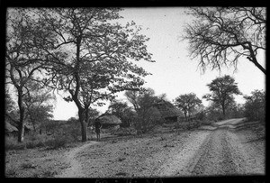 Landscape between Guijá and Pafuri, Mozambique, 1947