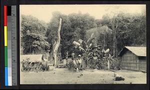 People standing in a forest village, Congo, ca.1920-1940