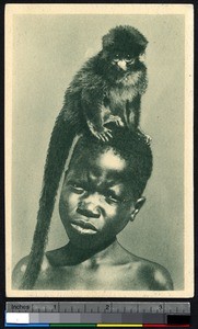 Indigenous boy with a monkey on his head, Congo, ca.1900-1930