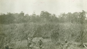 Draining of a marsch, in Gabon