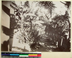 Hospital garden in Andohalo, Antananarivo, Madagascar