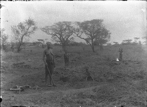 African women ploughing a field, Makulane, Mozambique, October 1901