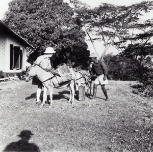 Foumban, in Cameroon