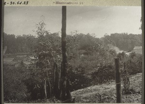 Pahandut. Landscape (in the background the Kahajan River). 1929