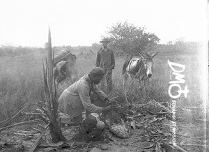 African men and donkey, Makulane, Mozambique, ca. 1896-1911