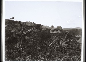 Landscape in Bamum