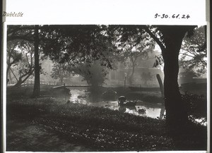 Landscape near Bandjermasin