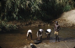 Break on the tour, Cameroon, 1953-1968