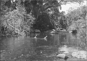 Bathing area, Tanzania, ca.1900-1914