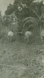 Boys working, in Lambarene, Gabon