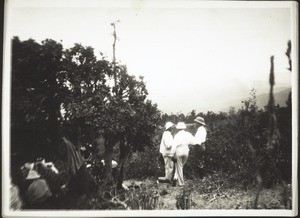 "May 1931. Tottapetto. Our gypsy encampment in the little Rhododendron copse