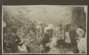 Funeral celebrations of the Badagas in Kalhatti. Last ceremonial