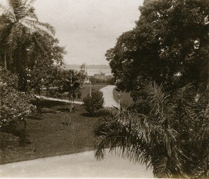 In the government's park, in Douala, in Cameroon