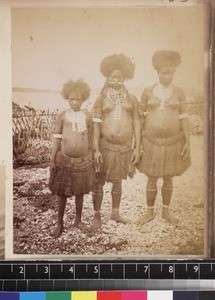 Group portrait of women from Kabidi, Papua New Guinea, ca.1890