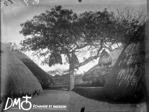 Huts, Antioka, Mozambique, ca. 1901-1915