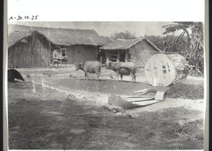 Chin. Wagen mit Büffeln. Windmühle; Theehütte