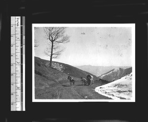 Cart traveling up a mountain, Gansu Province, China, ca.1926