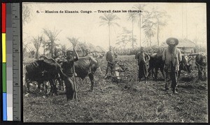 Work in the fields, Kisantu Mission, Congo, ca.1920-1940