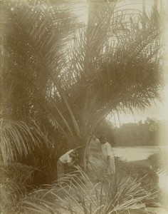 Workers, in Lambarene, Gabon