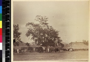 Village scene, Uripeta, India, ca.1885-1895