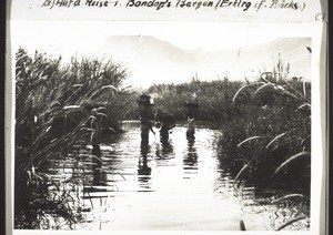 Carriers passing through a river