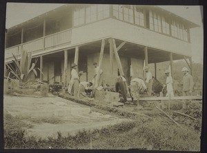 Heinrich at work in Buea