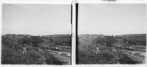 The valley of the Calédon river near Qalo