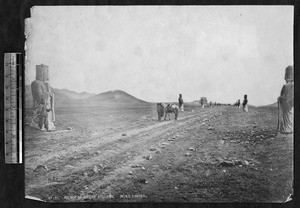 Stone figures lining path to Ming Tombs, near Beijing, China, ca.1870-1880