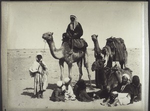 Bedouins