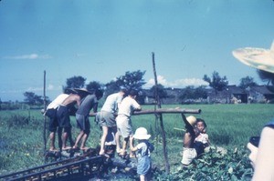 Men and children pedaling an irrigation system in a rice field, China, ca.1930-1950