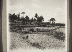 Landscape near Kutschuk