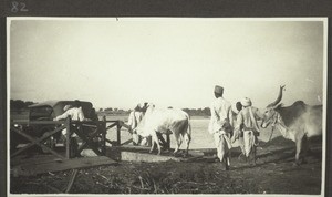 Beim Laden der Fähre auf dem Tungabhadra