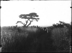 Marie Lebel, Lemana, Limpopo, South Africa, ca. 1906-1907