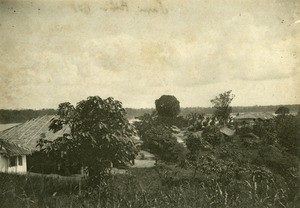 Landscape in Gabon