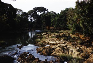 River and nature, Cameroon, 1953-1968