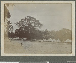 Troop camp, Dar es Salaam, Tanzania, July 1917