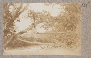 African, with a box on the head, balancing on a bole over a river