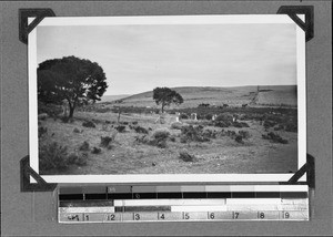 Houtkloof, Elim, South Africa, 1934