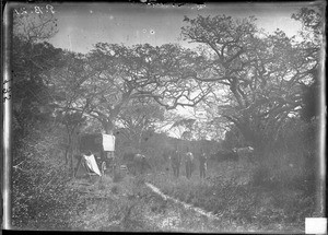 African people standing next to a wagon, Mozambique