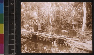 Route to Jojoima, Sierra Leone, ca. 1927-28